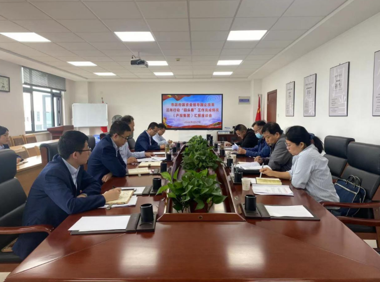市政府国资委督导电子游戏网页版-电子游戏（中国）
国企改革三年行动“回头看”工作完成情况(图1)